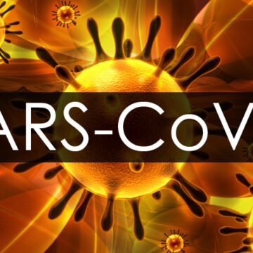 SARS-COV2 (coronavirus) Una Mirada desde la Ecología