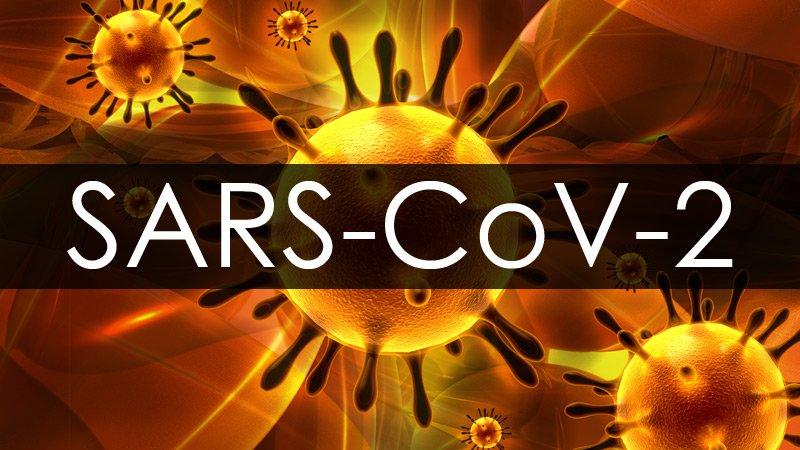 SARS-COV2 (coronavirus) Una Mirada desde la Ecología