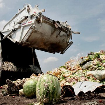 Un mundo cada vez más hambriento pierde o desperdicia 1.300 millones de toneladas de alimentos al año