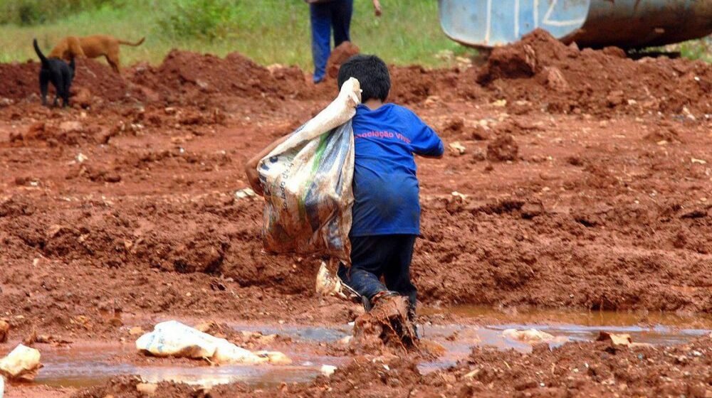 Cada 15 días muere una niña o niño víctima del trabajo infantil en Brasil