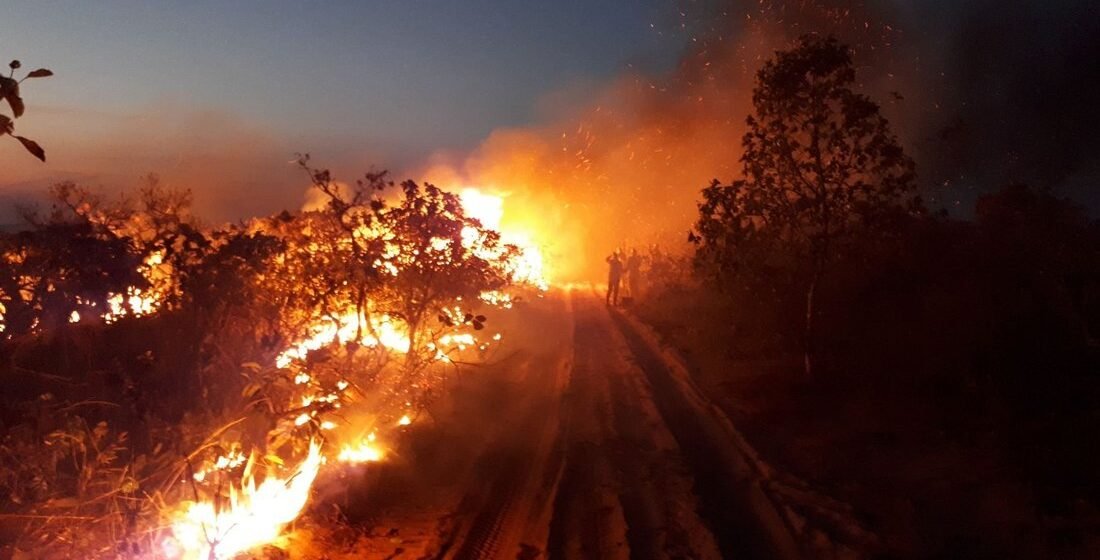 Incendios en Amazonía brasileña son los peores en una década, muestran datos