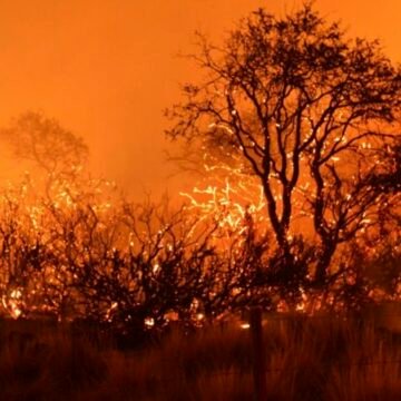 Córdoba, en estado de desastre agropecuario hasta 2021 por los incendios