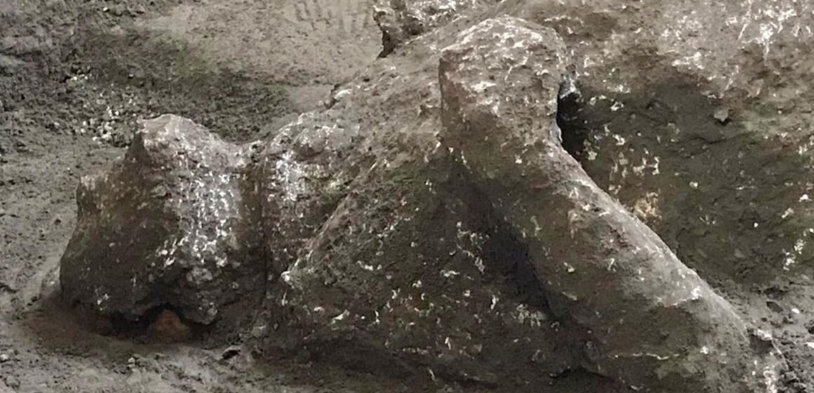 Encuentran en Pompeya restos de víctimas de erupción del año 79
