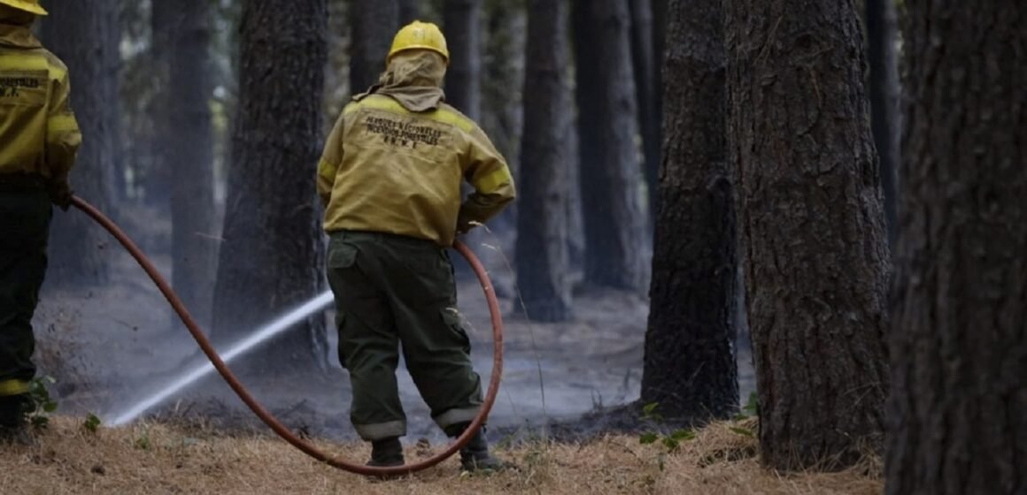El presupuesto para combatir incendios en 2021 será siete veces mayor que el ejecutado en 2020