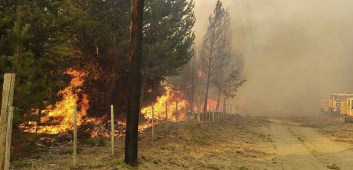 Seis provincias y CABA mantienen focos activos de incendios forestales