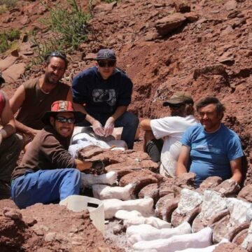 Descubren en la Patagonia al titanosaurio más antiguo del mundo