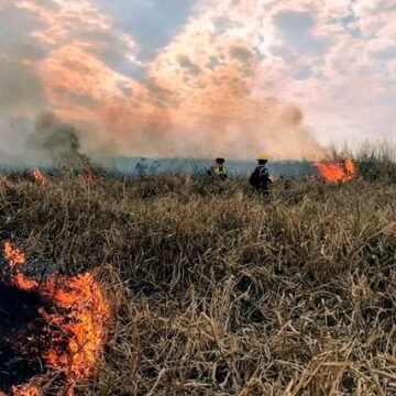 Evalúan el estado del Delta del Paraná después de los incendios