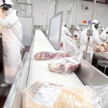 Denuncian a 19 frigoríficos por supuestas irregularidades en la exportación de carne