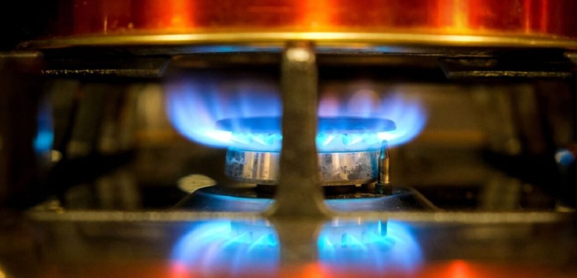 Promulgaron la ley que reduce las tarifas de gas en zonas de bajas temperaturas