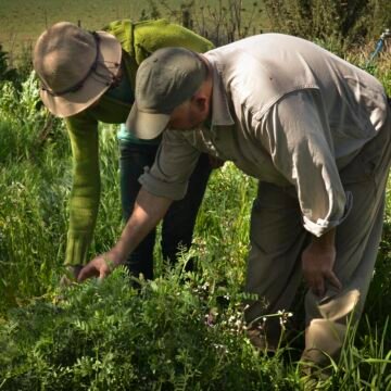 La agroecología como “un horizonte de transformación social ambiental y política”