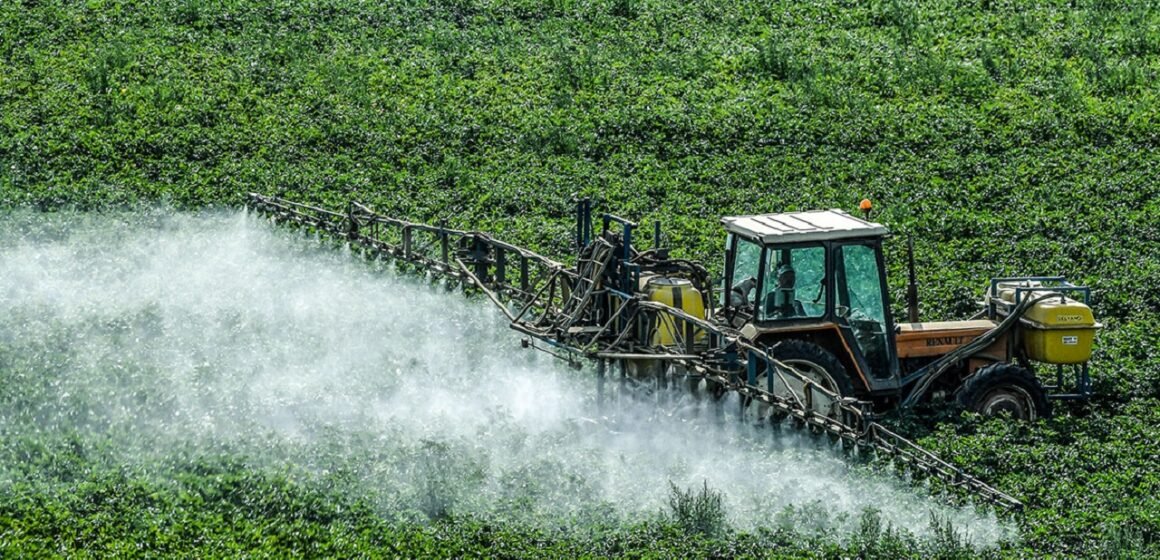 #AgroecologíaYa: Marcha contra el uso de agrotóxicos