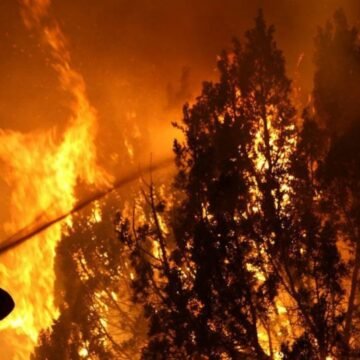 Más de 11 mil hectáreas afectadas por incendios forestales en Chile