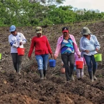 Mujeres campesinas denuncian el poco acceso a la propiedad de la tierra