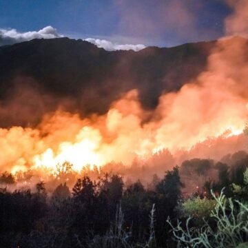 Incendios en la Patagonia: una amenaza que se hizo realidad
