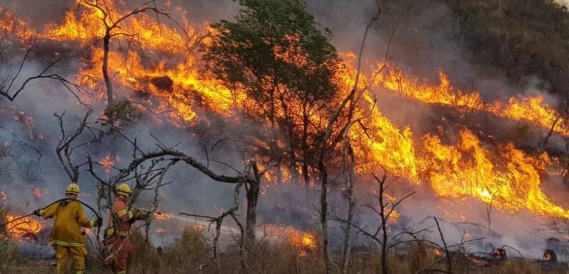 Incendios en Corrientes: siguen registrándose focos activos en varias zonas