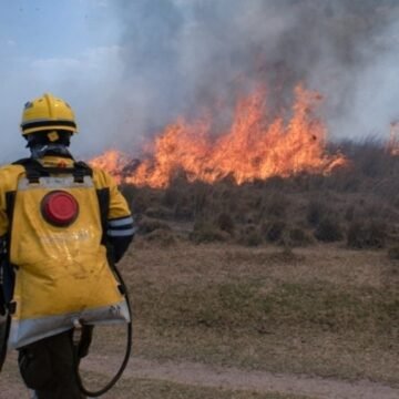 Incendios en Corrientes: Asistirán a productores y afectados
