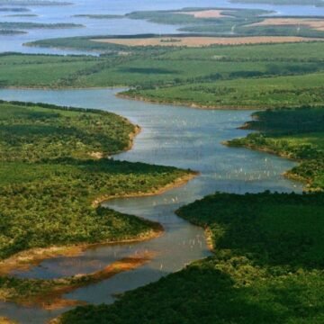 El Parque Nacional Iberá también fue alcanzado por las llamas