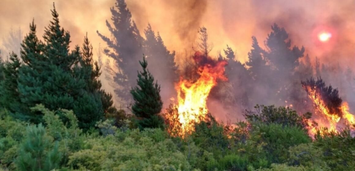 Chubut: Brigadistas combaten un incendio en la zona cordillerana