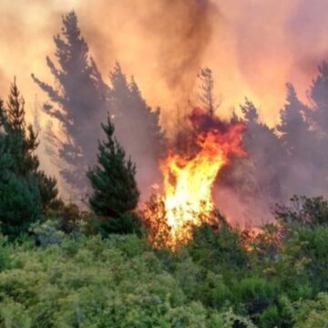 Chubut: Brigadistas combaten un incendio en la zona cordillerana