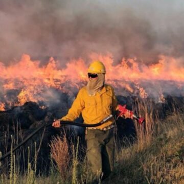 Preocupante situación por los incendios forestales en Corrientes