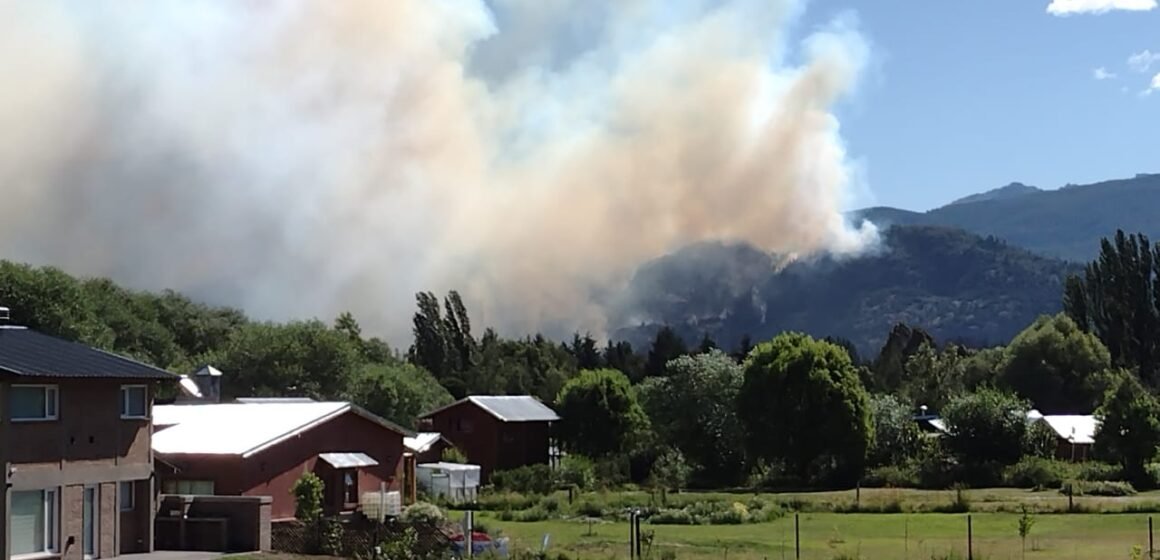 Restaurarán el área dañada por incendios en la Comarca Andina