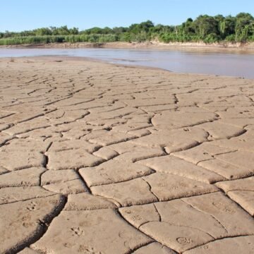 Ante la brutal sequía declaran emergencia y desastre agropecuario en Chaco