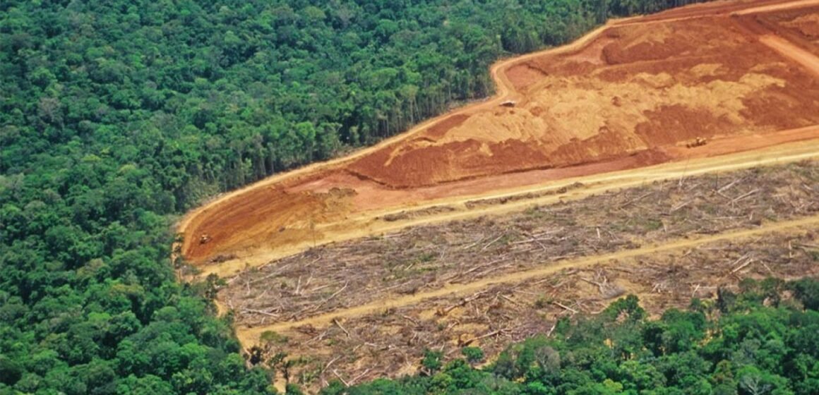 La Amazonia brasileña registró una deforestación récord en el mes de abril