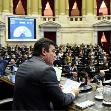 Diputados dio media sanción al proyecto de Boleta Única de Papel