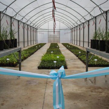 CEAMSE inauguró un invernadero de plantas nativas para la revegetación del AMBA