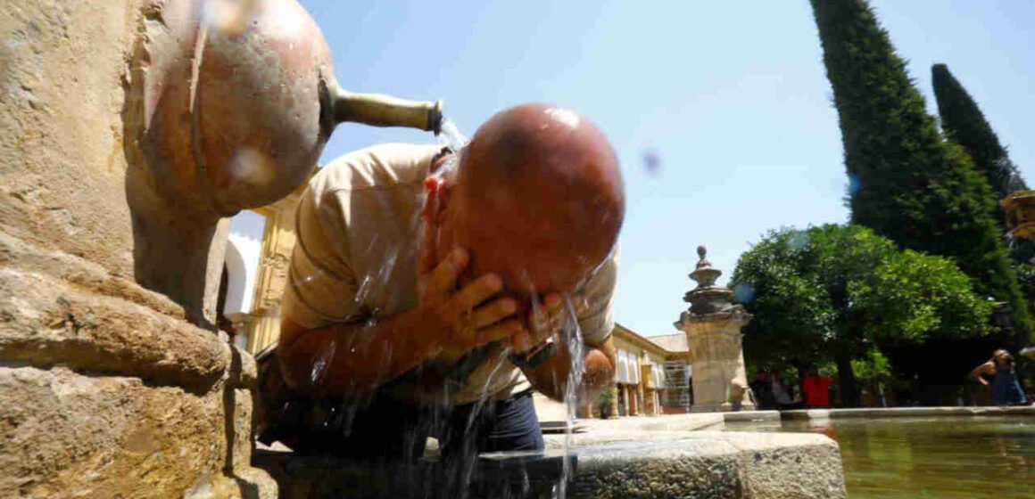 Impactante ola de calor en Europa: temperaturas récord, incendios y fallecimientos