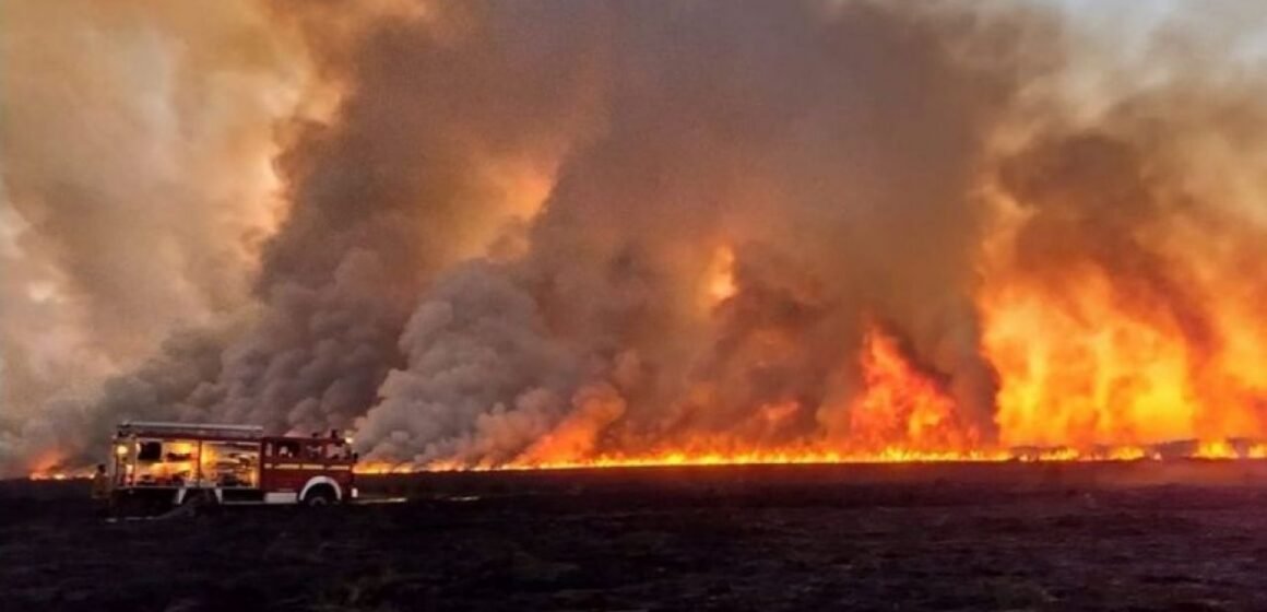Incendios en el Delta: Ambiente aportó datos a la Justicia para hallar y sancionar a responsables