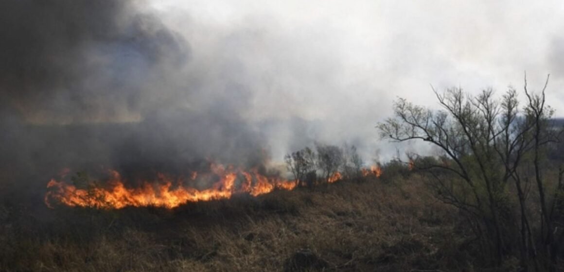 Se extienden los incendios en el Paraná y Nación amplía su denuncia judicial