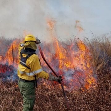 Continúan las tareas para extinguir las intensas llamas en las islas del Delta