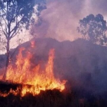 Incendios en Jujuy: El gobernador afirma que fueron intencionados