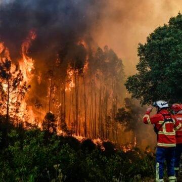 Nueve provincias registran incendios forestales activos