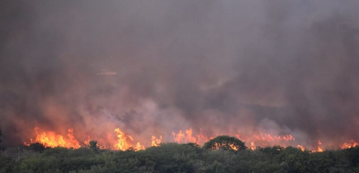 Nuevo incendio en la Reserva Ecológica de Costanera Sur