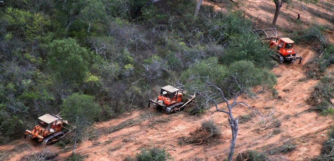 El Gobierno creó una unidad de prevención de delitos ambientales