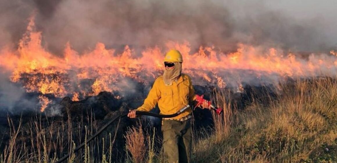 Nuevo incendio cerca de Atucha en Zárate