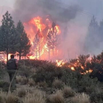 Incendio en El Bolsón: Se perdieron 100 hectáreas de vegetación nativa