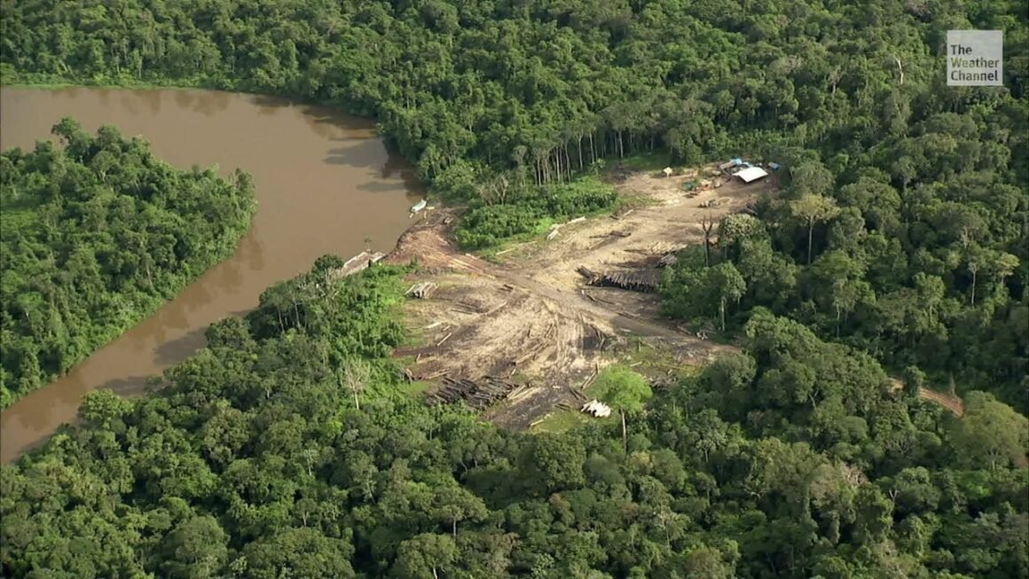 Brasil prepara una cumbre presidencial para salvar a la Amazonía