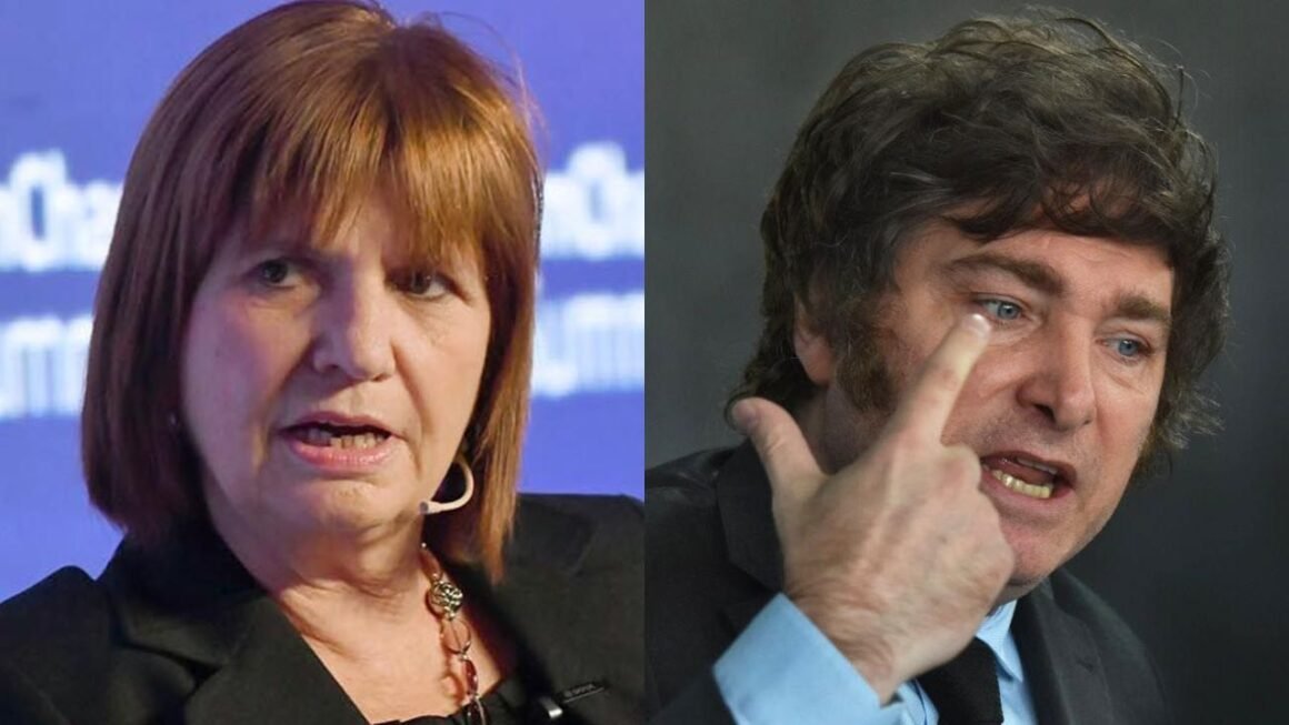 Bullrich piensa en Milei como ministro