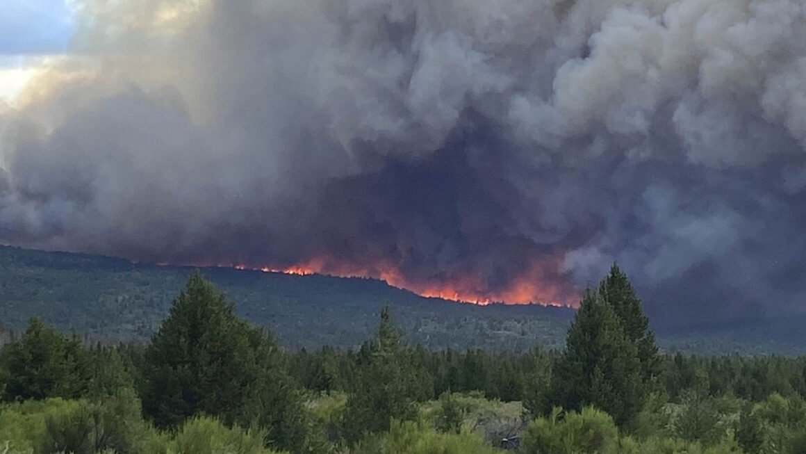 Declaran emergencia ignea en Río Negro