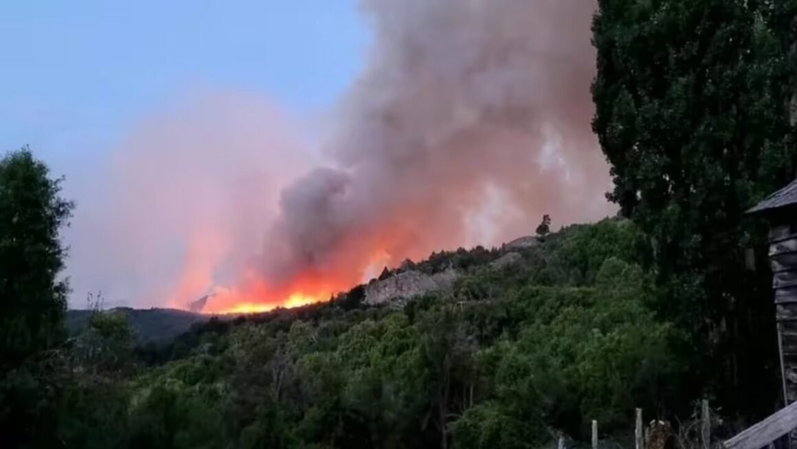 Ya son más de 2.000 las hectáreas quemadas en el Parque Nacional Los Alerces