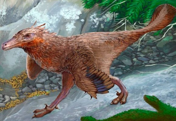 Descubren en Neuquén una nueva especie de dinosaurio carnívoro