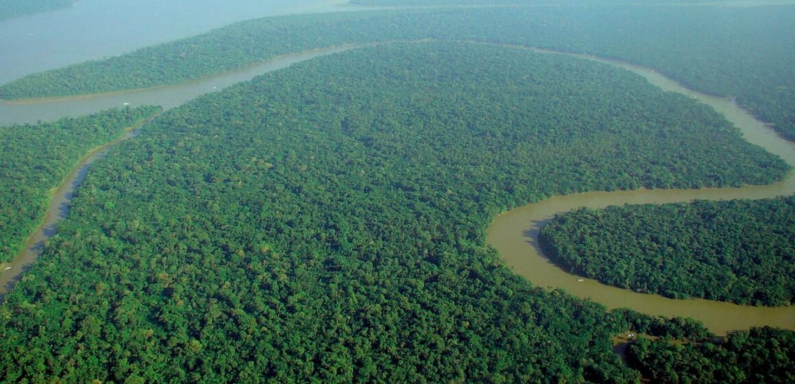 Amazonia: Brasil se propone llegar a deforestación ilegal cero para 2030