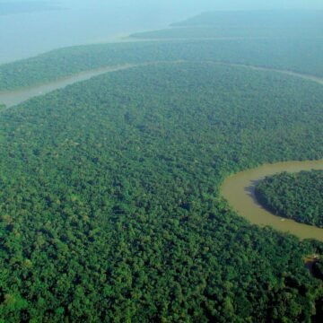 Amazonia: Brasil se propone llegar a deforestación ilegal cero para 2030