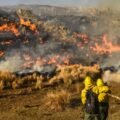 Incendios: El Senado aprobó la declaración de emergencia