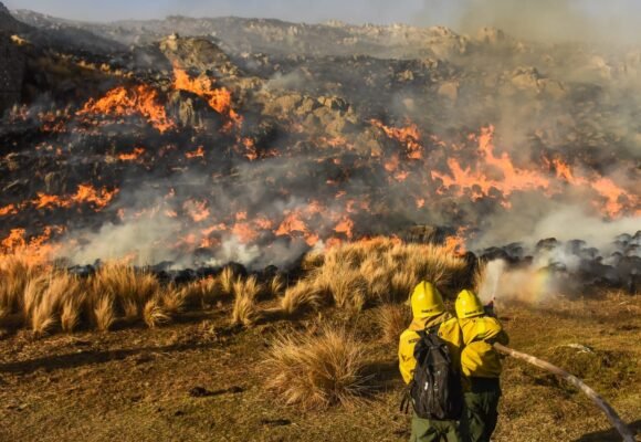 Incendios: El Senado aprobó la declaración de emergencia