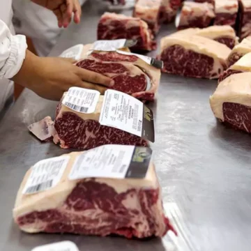 Volvieron a caer las exportaciones de carne