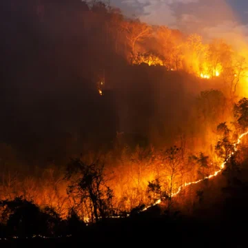 Bolivia reporta 11.747 familias damnificadas por los incendios forestales